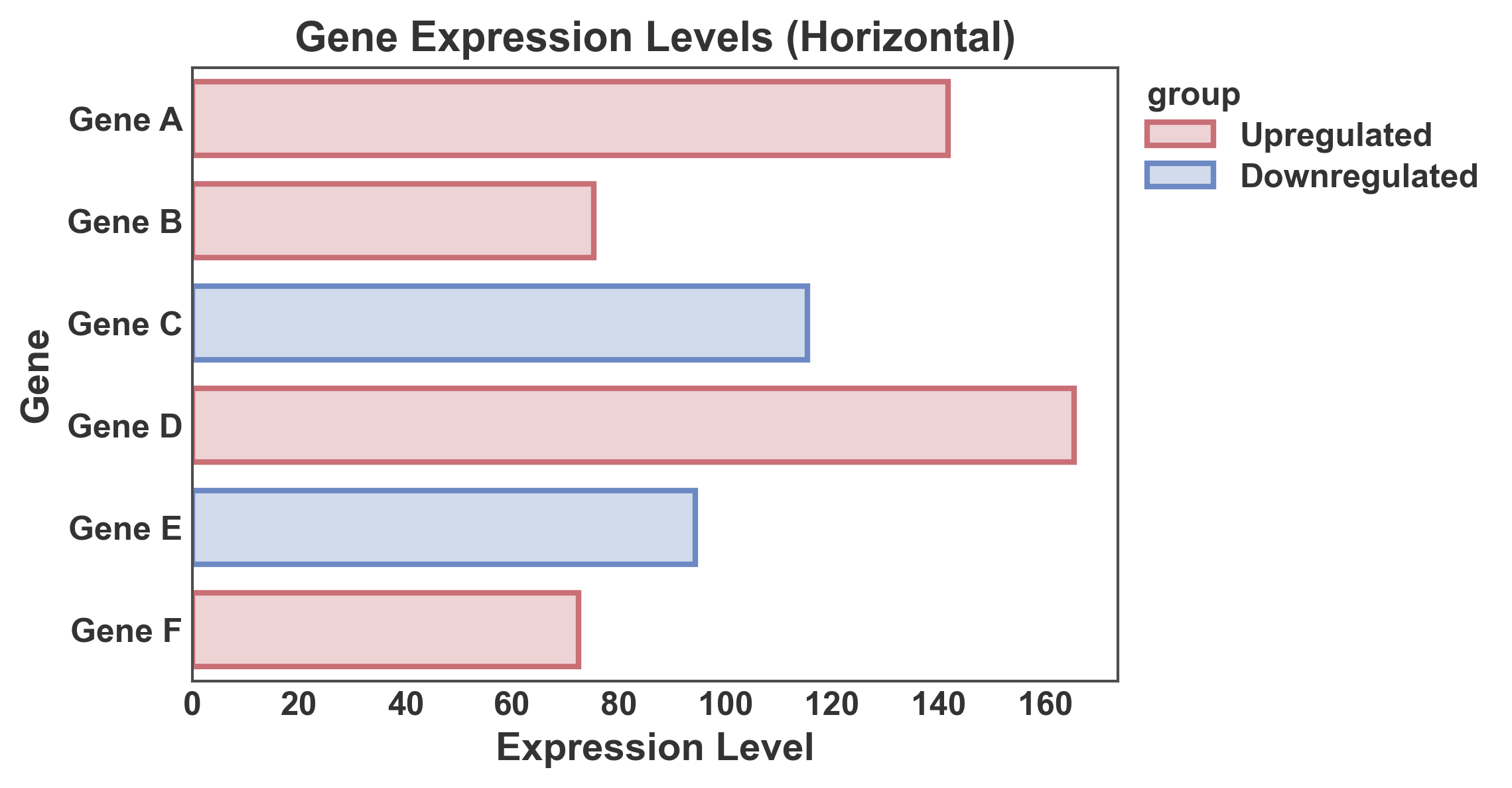Gene Expression Levels (Horizontal)