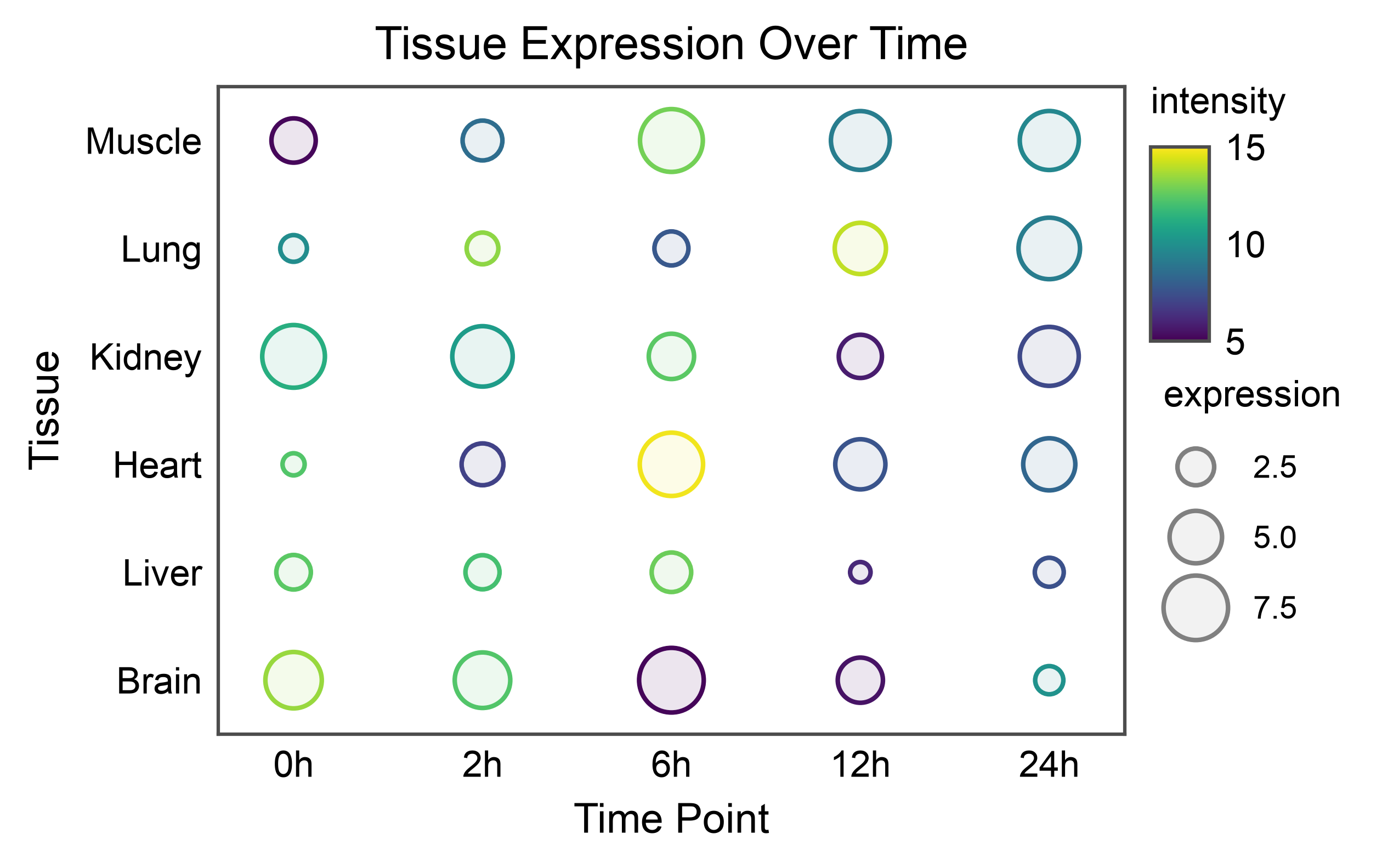 Tissue Expression Over Time