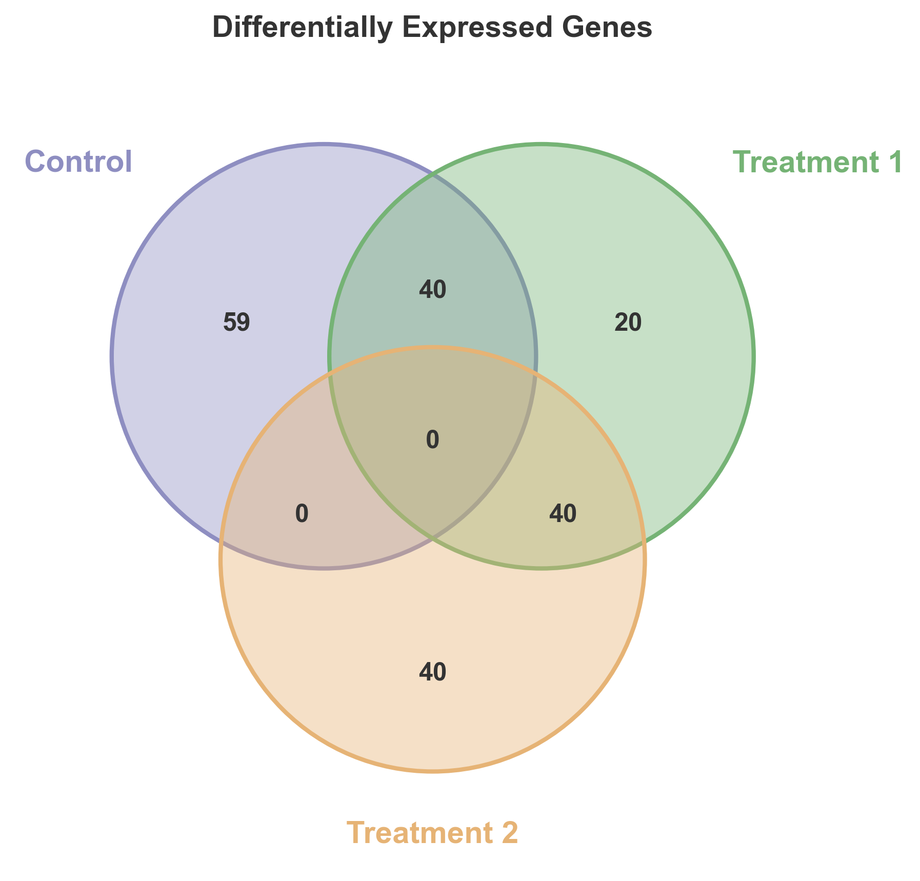 Differentially Expressed Genes