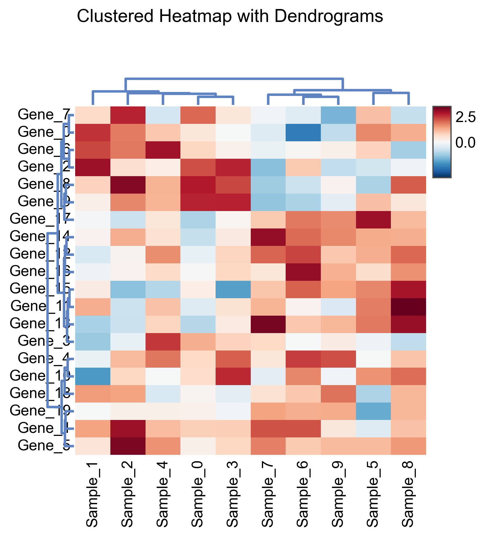 Clustered Heatmap with Dendrograms