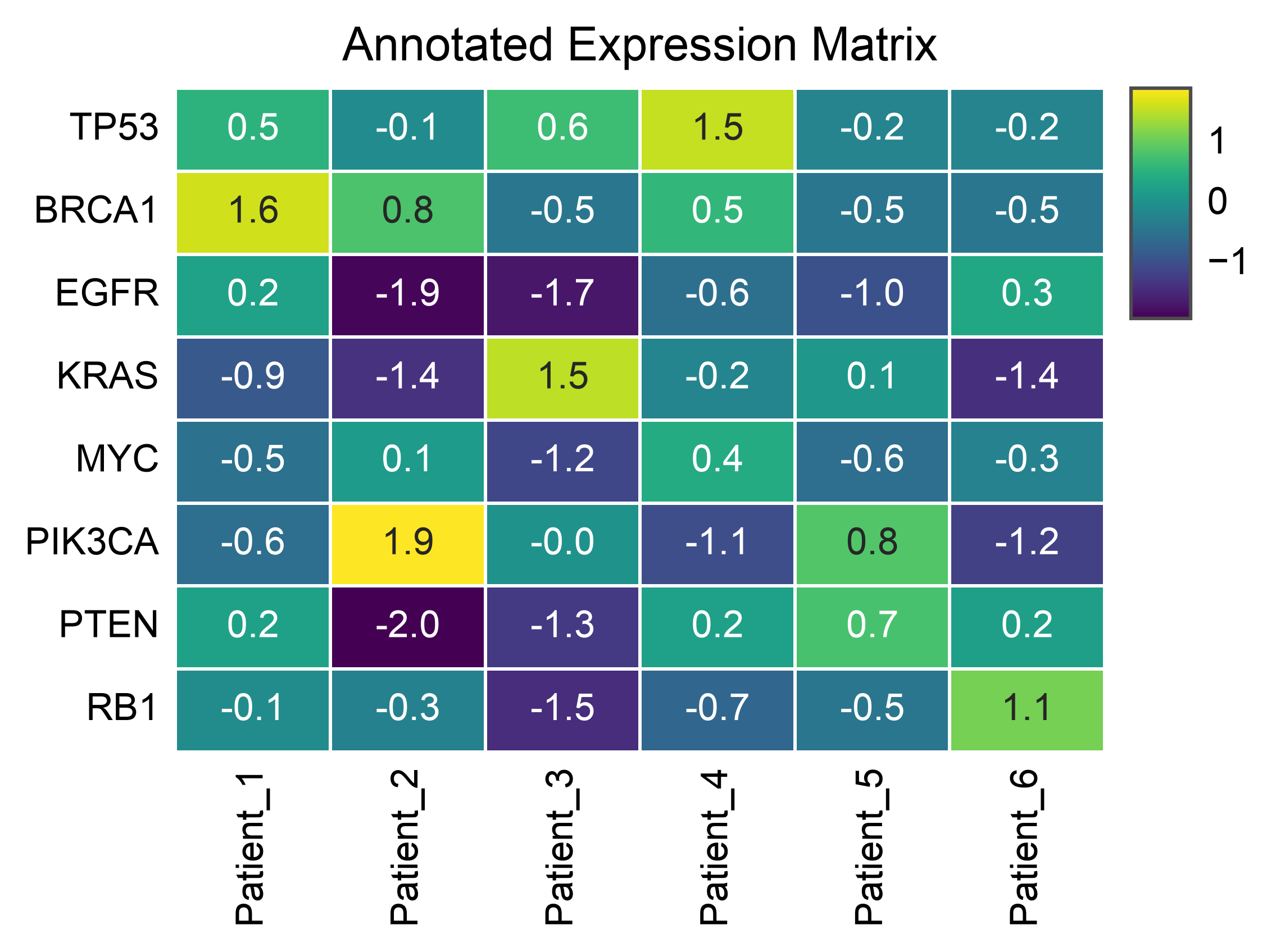 Annotated Expression Matrix